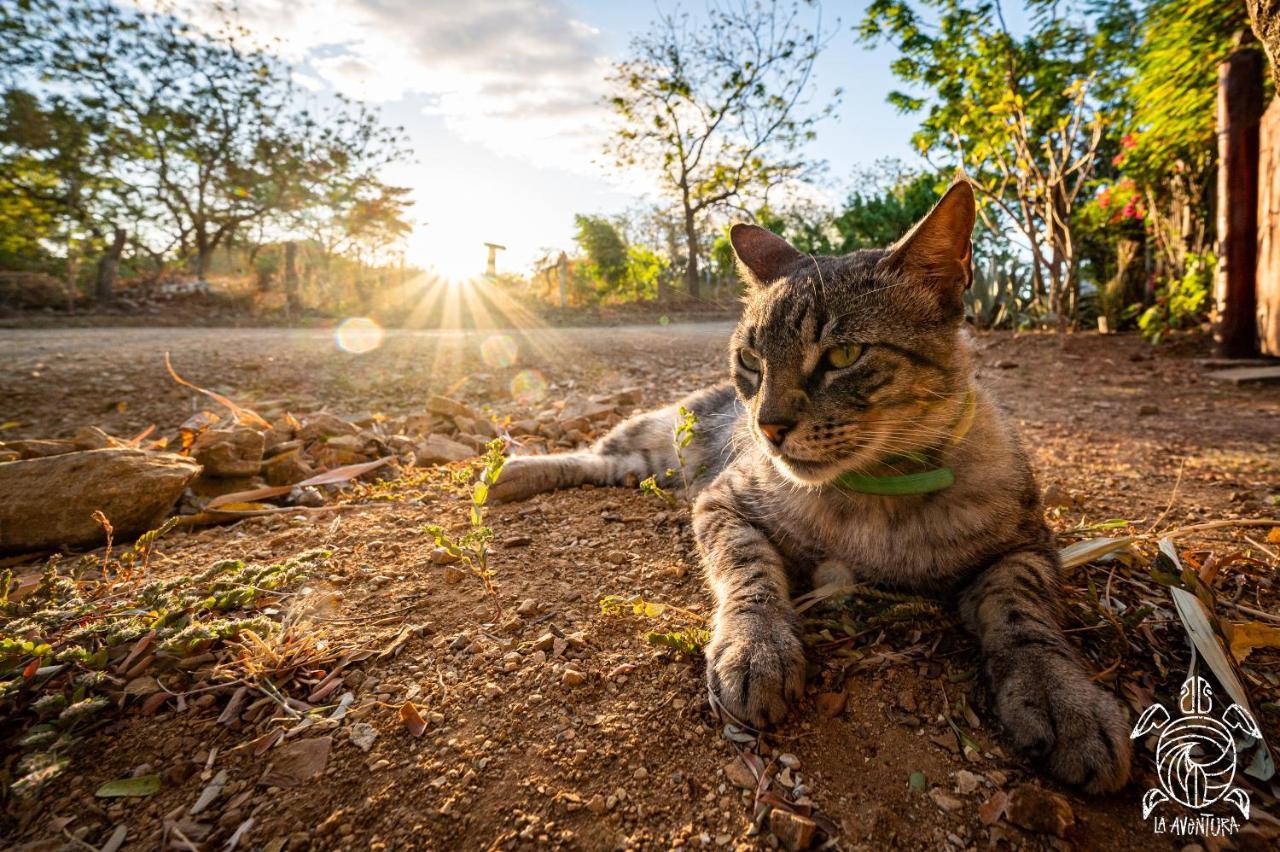 Casa La Aventura Guasacate - Popoyo Daire Dış mekan fotoğraf